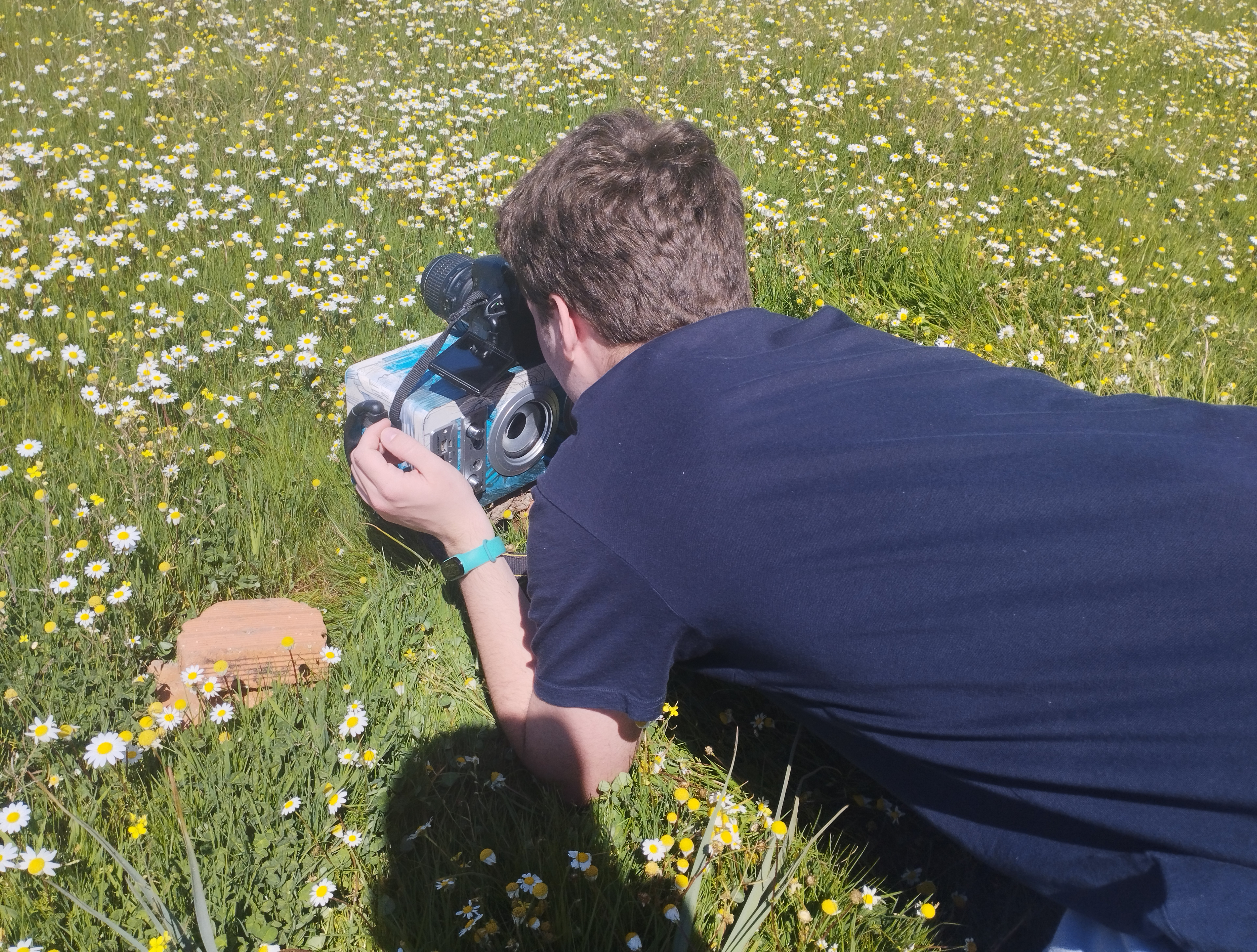 Primavera en Los Veneritos